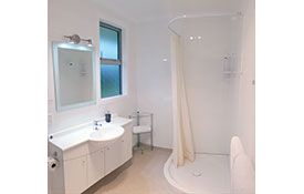 1-bedroom unit shower